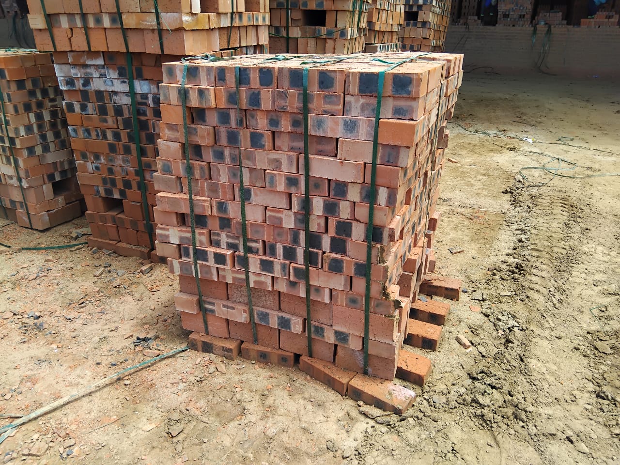 Blue Heart Common bricks